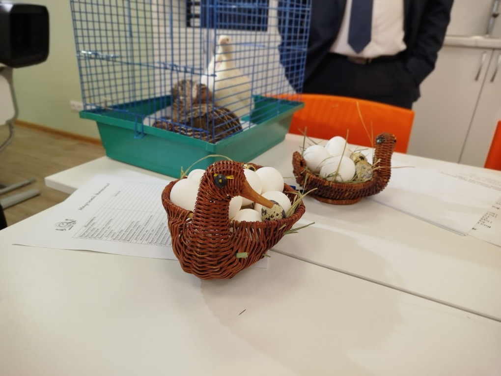 В Иртышской средней школе Омского муниципального района состоялось открытие новых агротехнических классов