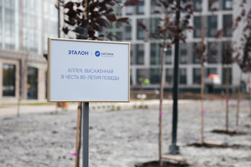 В новом микрорайоне на Левом берегу высадили черёмуховую аллею