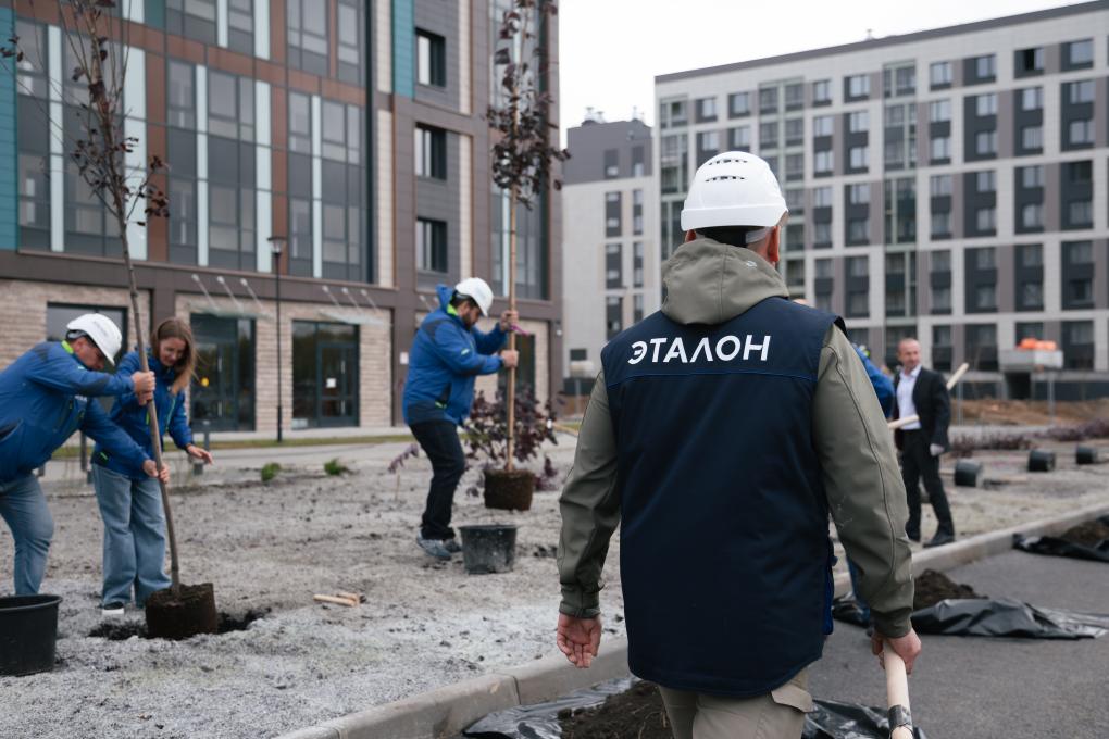 В новом микрорайоне на Левом берегу высадили черёмуховую аллею