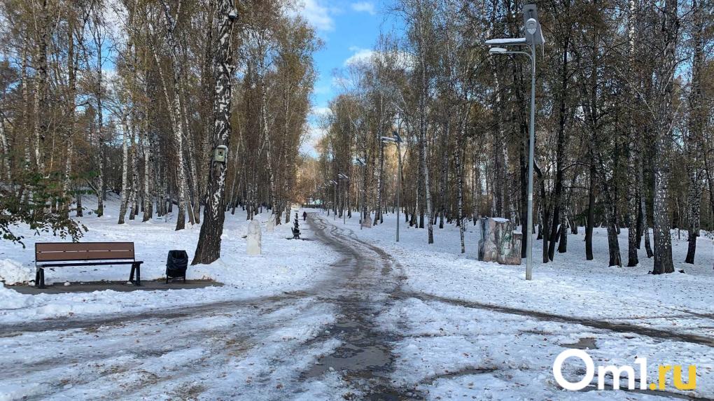 Мигранты, православные храмы и «Поле чудес» — как живёт Дзержинский район Новосибирска? Показываем самые необычные места