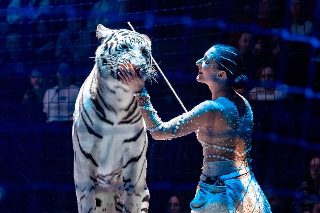 Жизнь среди тигров: Алиса Нестерова о цирке и себе