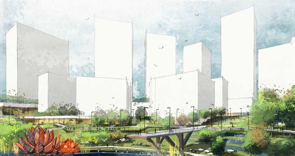 Джунгли у озера: как в Новосибирске преобразят Журинский спуск