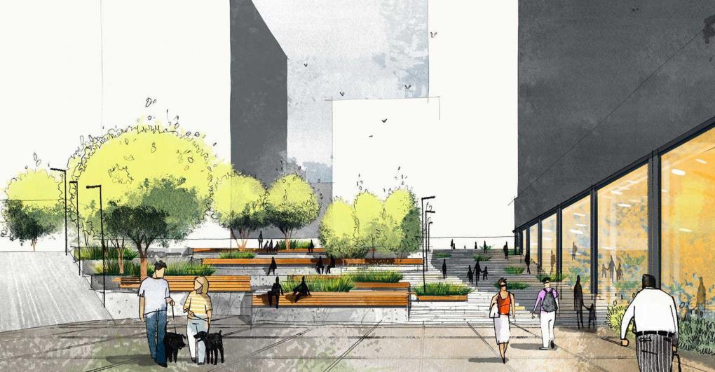 Джунгли у озера: как в Новосибирске преобразят Журинский спуск