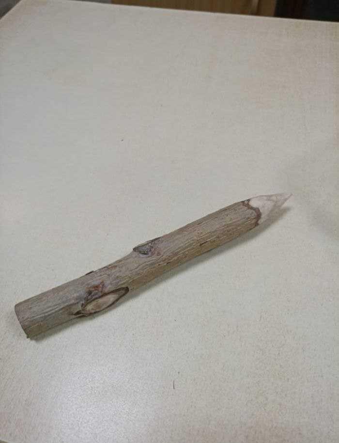 Омичка принесла в суд осиновый кол