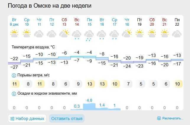 Снова до -34: в Омской области начнётся вторая волна морозов