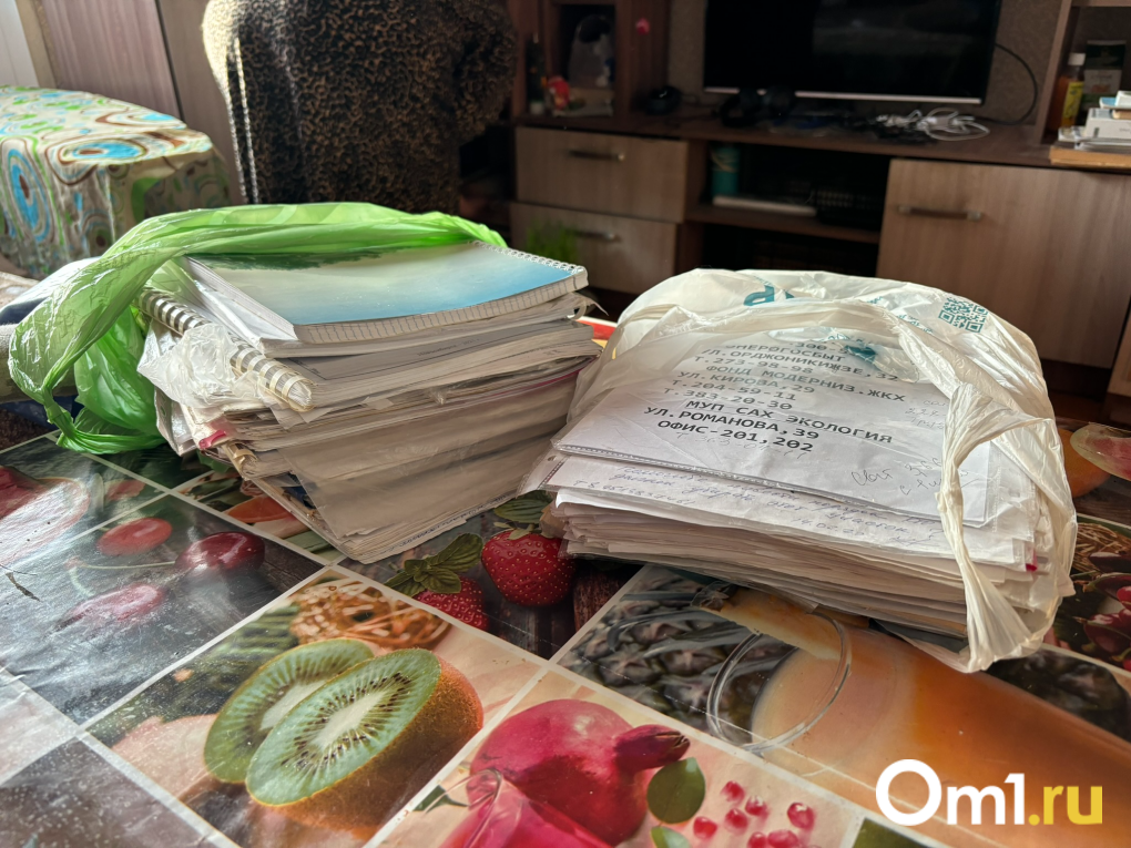 «Стена отошла от тряски»: жители домов у 4-го моста в Новосибирске рассказали о жизни в пыли и грохоте