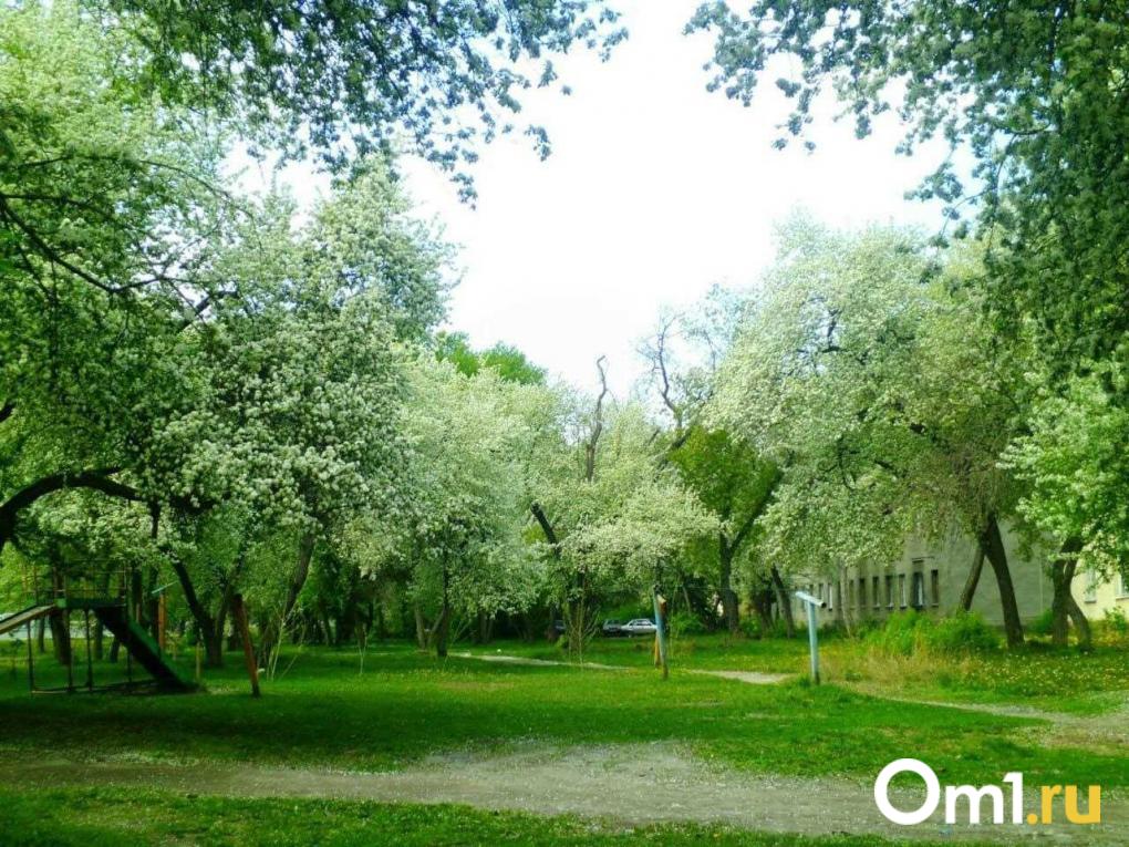 «Стена отошла от тряски»: жители домов у 4-го моста в Новосибирске рассказали о жизни в пыли и грохоте