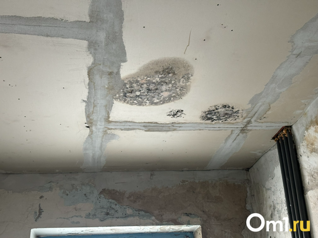 «Стена отошла от тряски»: жители домов у 4-го моста в Новосибирске рассказали о жизни в пыли и грохоте