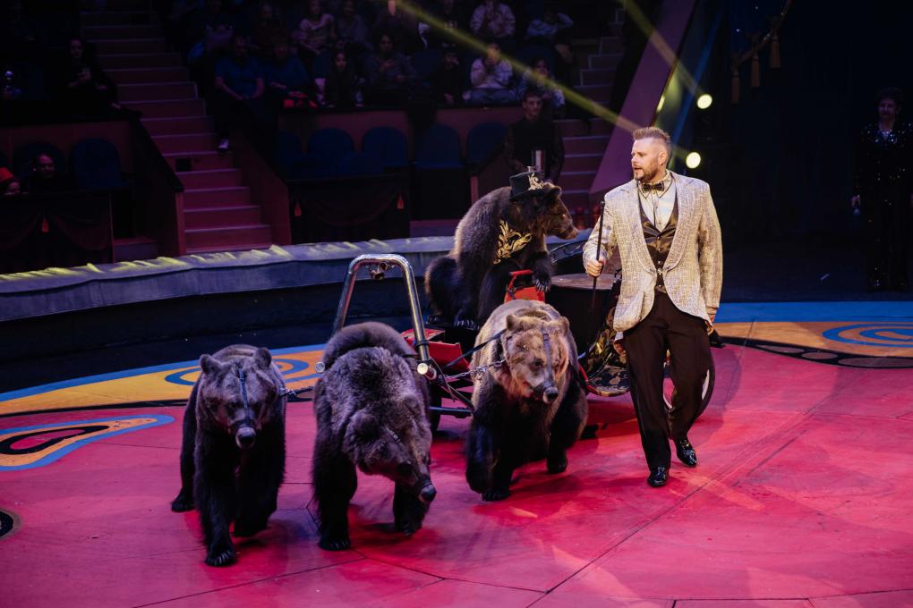 Цирковое шоу Филатовых в Омске: медведи на мотобайках и эквилибристы