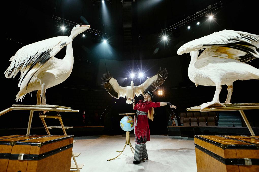 Цирковое шоу Филатовых в Омске: медведи на мотобайках и эквилибристы