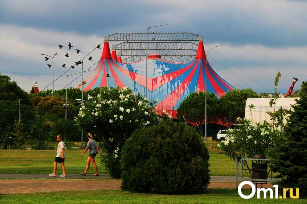 Пора брать билеты? Где омичу отдохнуть на майских праздниках