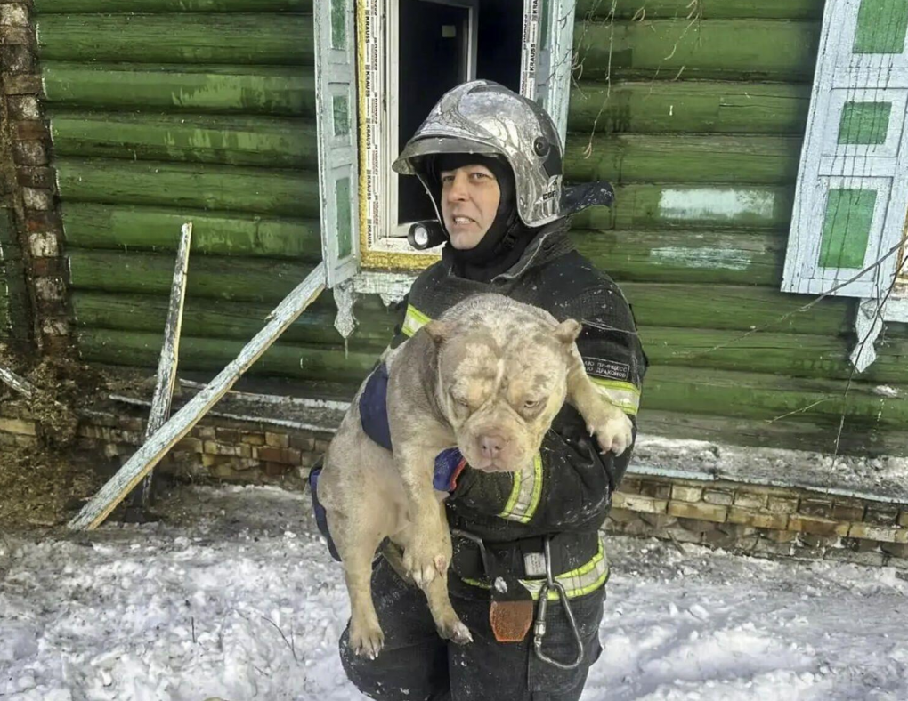 В Омске пожарные вынесли женщину из горящего дома и спасли животных