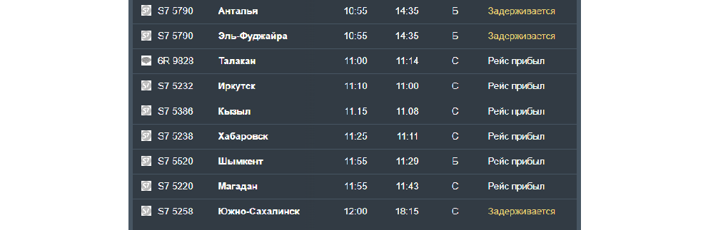 В Новосибирске задерживается прилёт вывозных рейсов из ОАЭ