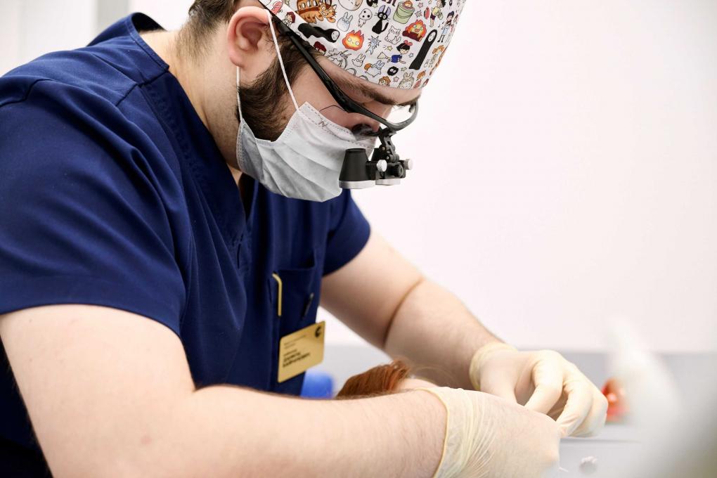 Коронка вместо удаления: сохраните зуб с выгодой