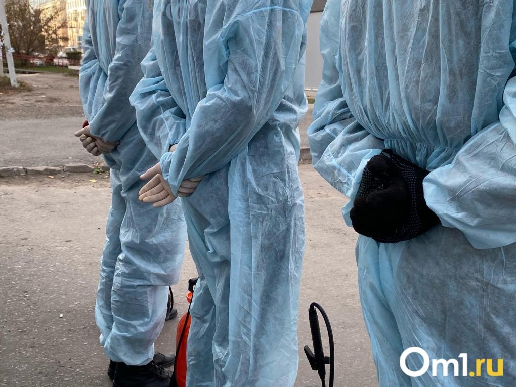 «Первые очаги локализованы»: министр сельского хозяйства Новосибирской области объяснил ситуацию с массовым изъятием скота в регионе