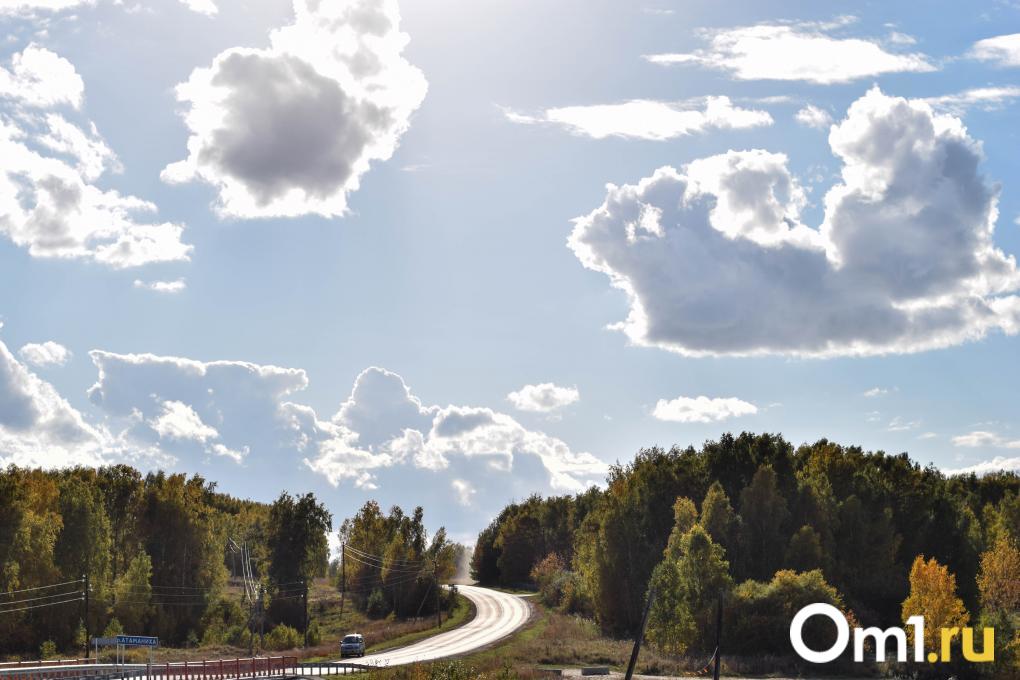 С 1 апреля новосибирских водителей ждут перемены: пересчёт ОСАГО, штрафы за газоны и нейросети на дорогах