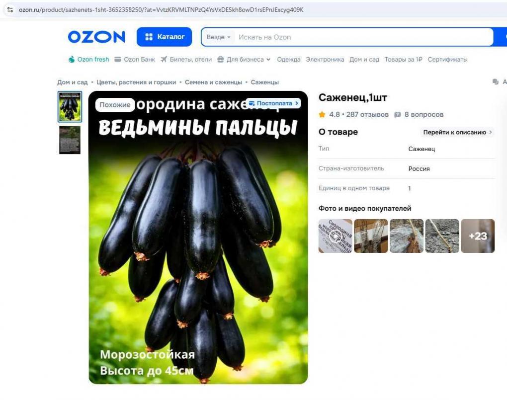 «Клубничное дерево» не взойдёт: как обманывают омских дачников на маркетплейсах