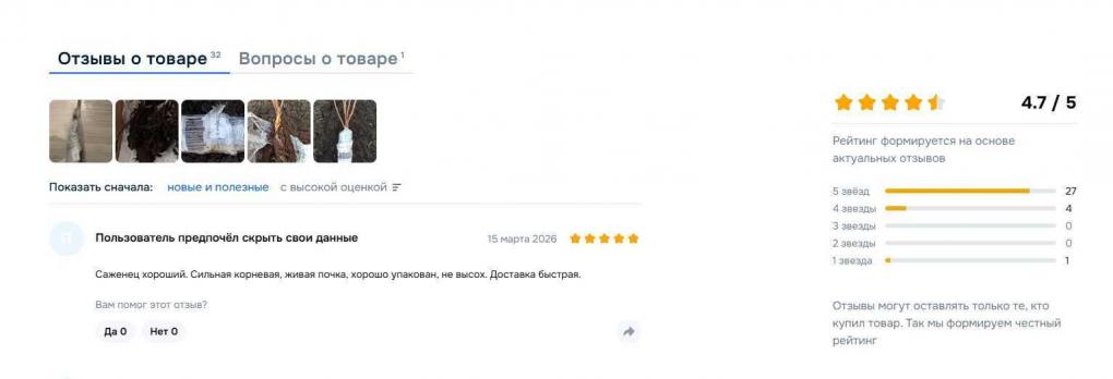 «Клубничное дерево» не взойдёт: как обманывают омских дачников на маркетплейсах