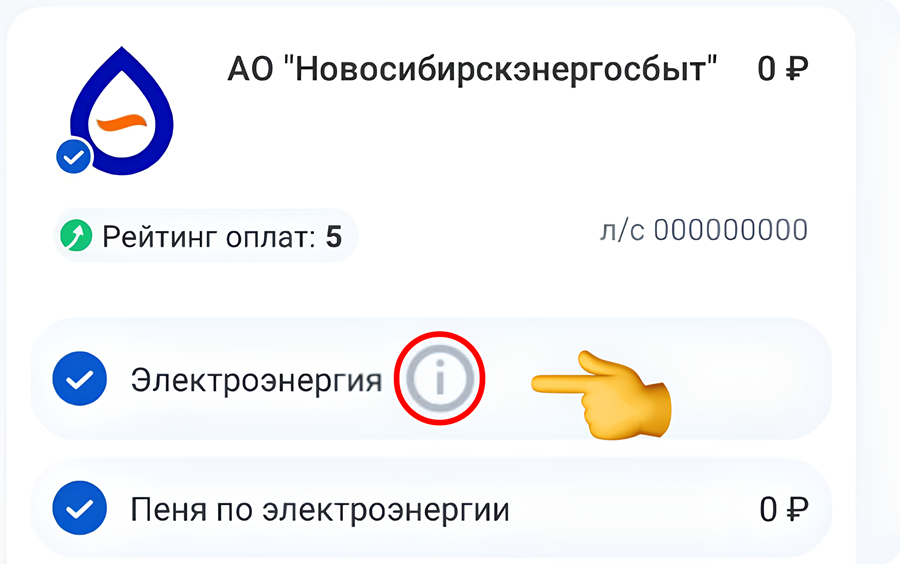 Прозрачные начисления: как проверить правильность счёта за свет в мобильном приложении