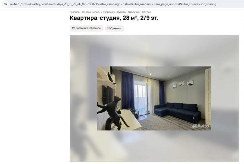 В Омске продают квартиру с пингвинами и застрявшей в стене кошкой