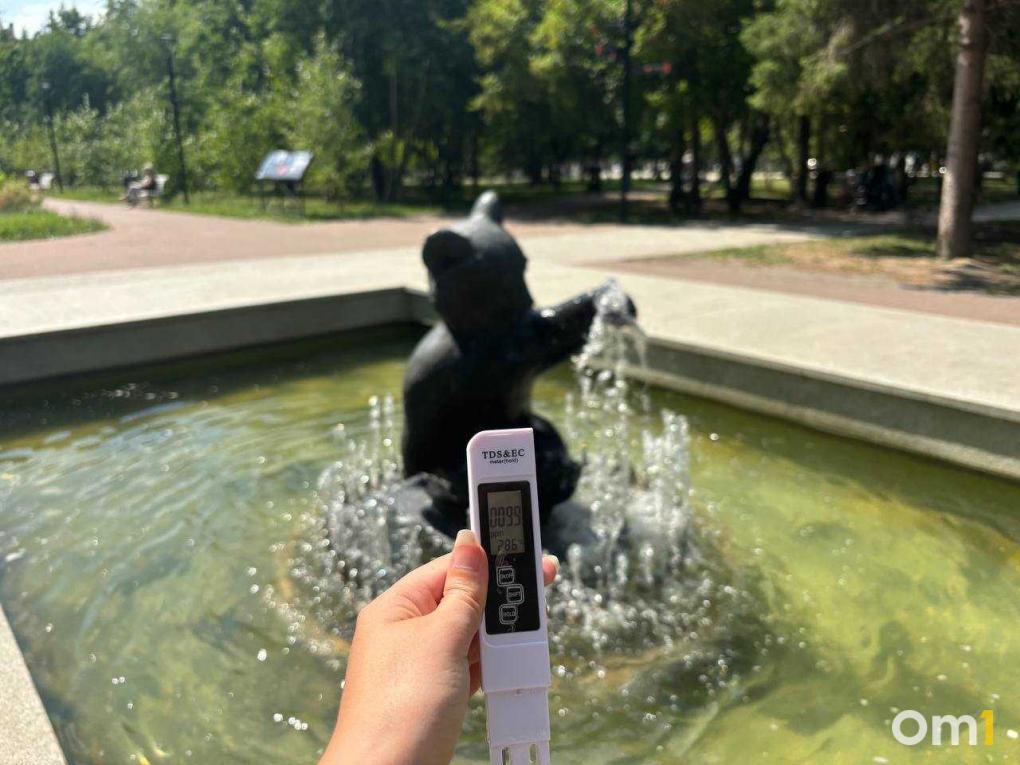 Безопасна ли вода в новосибирских фонтанах? Журналисты проверили с помощью прибора