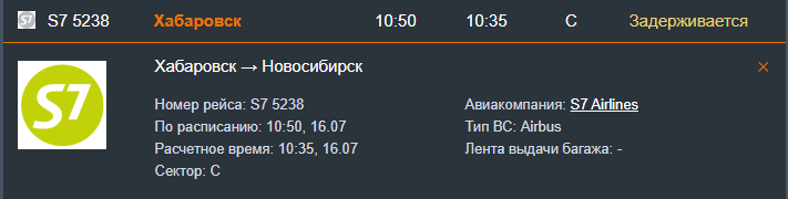 Три рейса в новосибирском Толмачёво задерживаются 16 июля