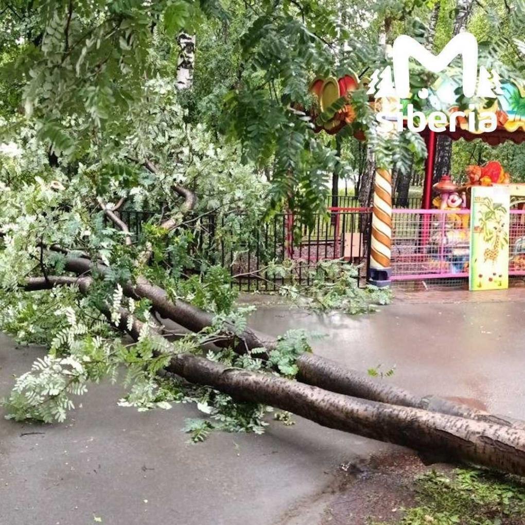 Новосибирск после ливня: затопленные улицы, поваленные деревья и 295 домов без света