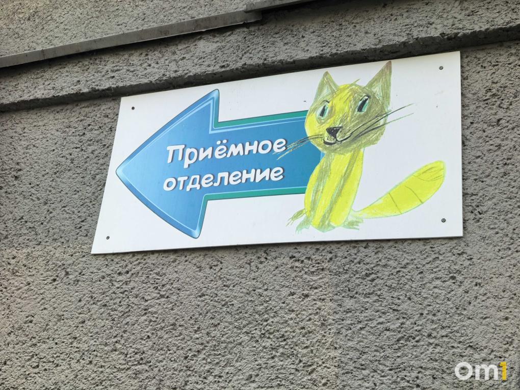 Дом с красным носом: где началась история больничной клоунады в Новосибирске