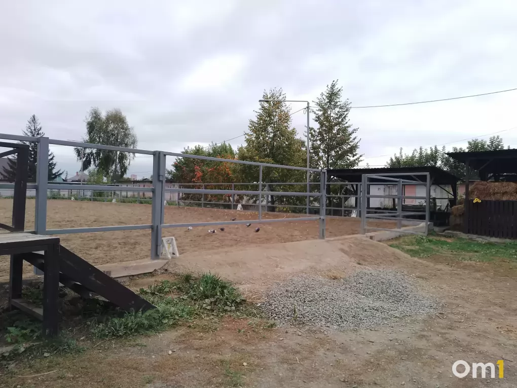В Ленинском районе Новосибирска завершили ремонт в конной школе