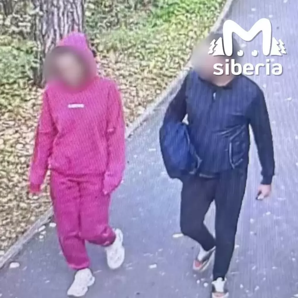 Появились подробности нападения на беременную женщину в Заельцовском парке Новосибирска