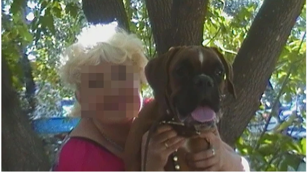 «Боимся навредить другим!»: загрызшего хозяйку бульдога усыпили в Новосибирской области