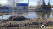 В МЧС рассказали о ситуации с подтопленными домами в Омской области