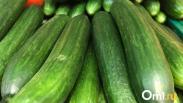Цены на продукты в Омске: огурцы дешевеют, яйца продолжают дорожать