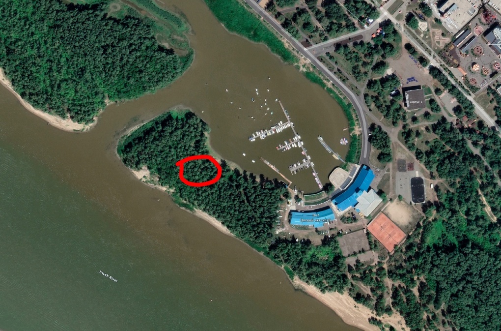 Ужасное зрелище. В Омске на Зелёном острове начали незаконно вырубать деревья – ВИДЕО