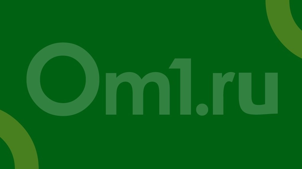 В Новосибирске затравившего всю школу третьеклассника перевели на домашнее обучение