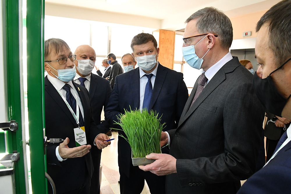 В Омской области начнут возрождать племенное птицеводство, овощеводство и картофель
