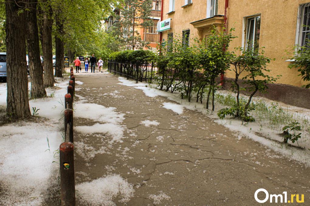 Ужасные тротуары, пыль и старые троллейбусы: житель Минска оказался шокирован Новосибирском