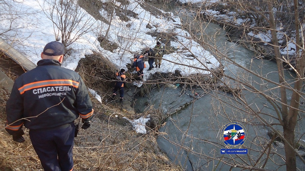 Упал и не смог подняться: новосибирец провалился в глубокий овраг. ФОТО