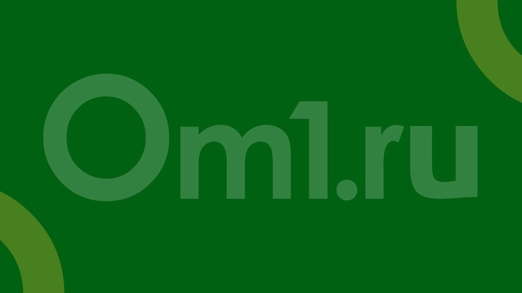 «Прижал к стене и ударил в нос»: новосибирец напал на школьницу из-за собаки