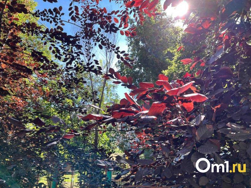 Изображение фоторепортажа