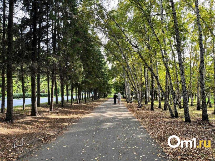 Изображение фоторепортажа