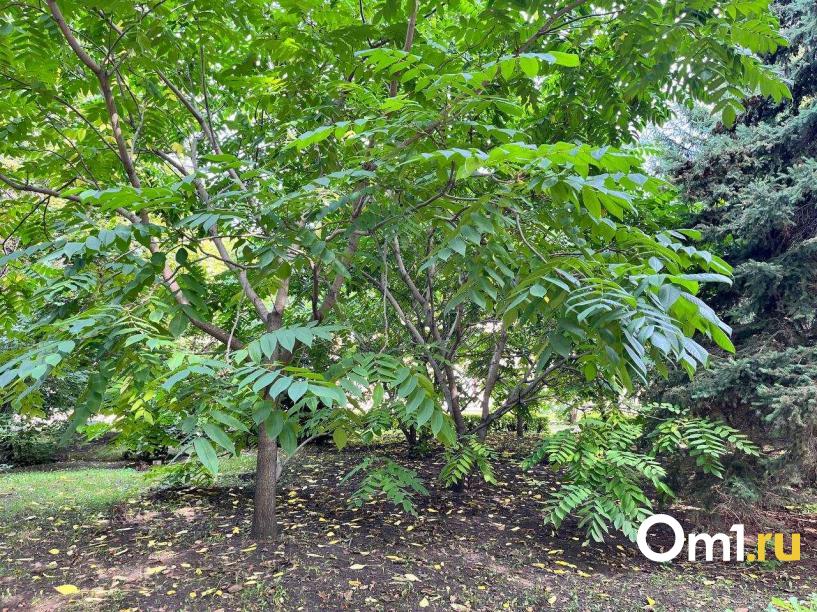 Изображение фоторепортажа