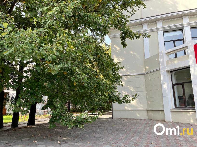 Изображение фоторепортажа