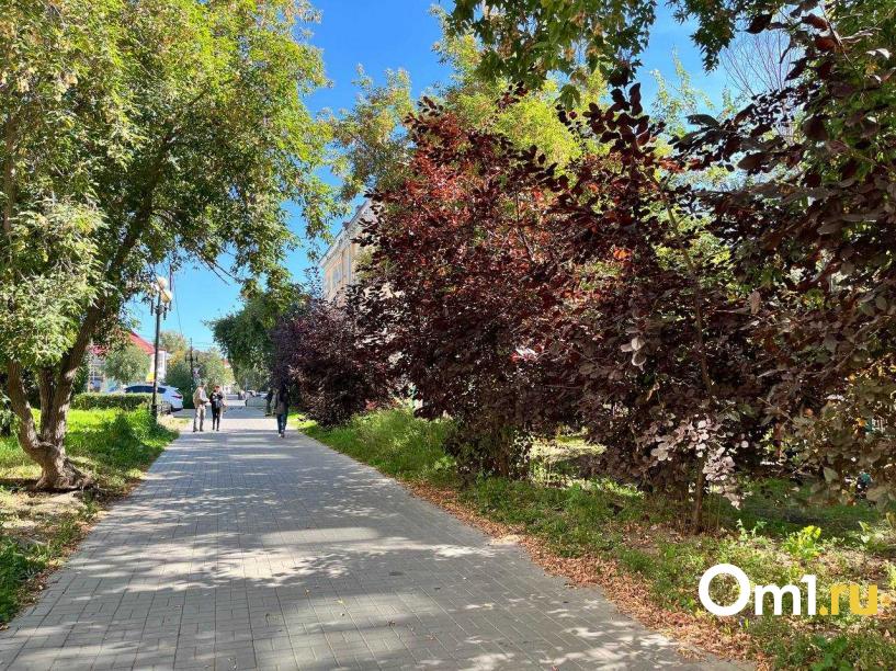 Изображение фоторепортажа