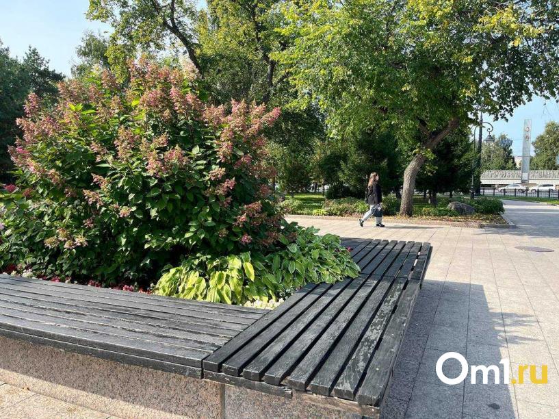 Изображение фоторепортажа