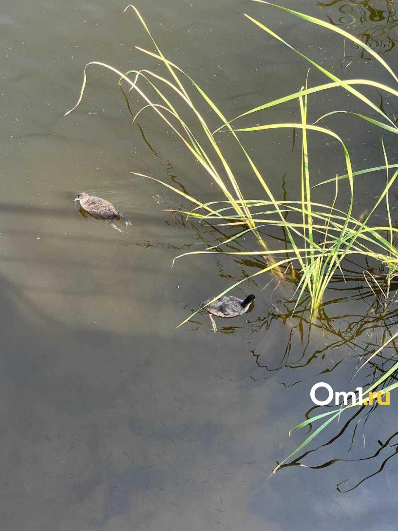 Изображение фоторепортажа