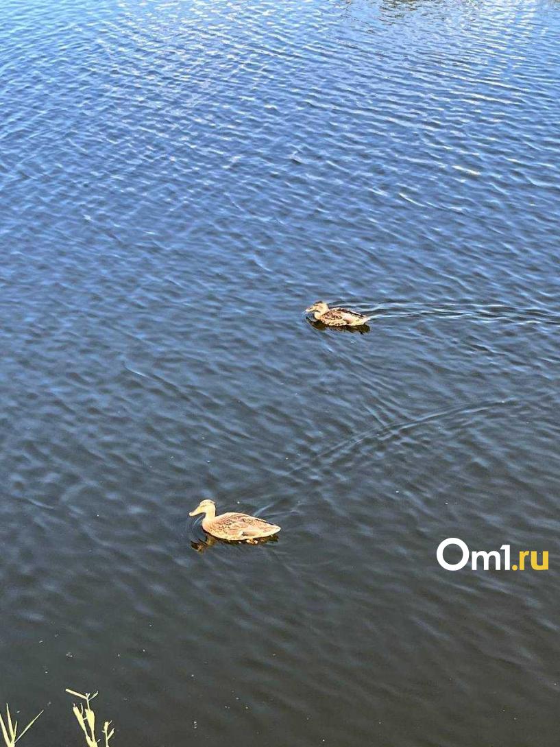 Изображение фоторепортажа