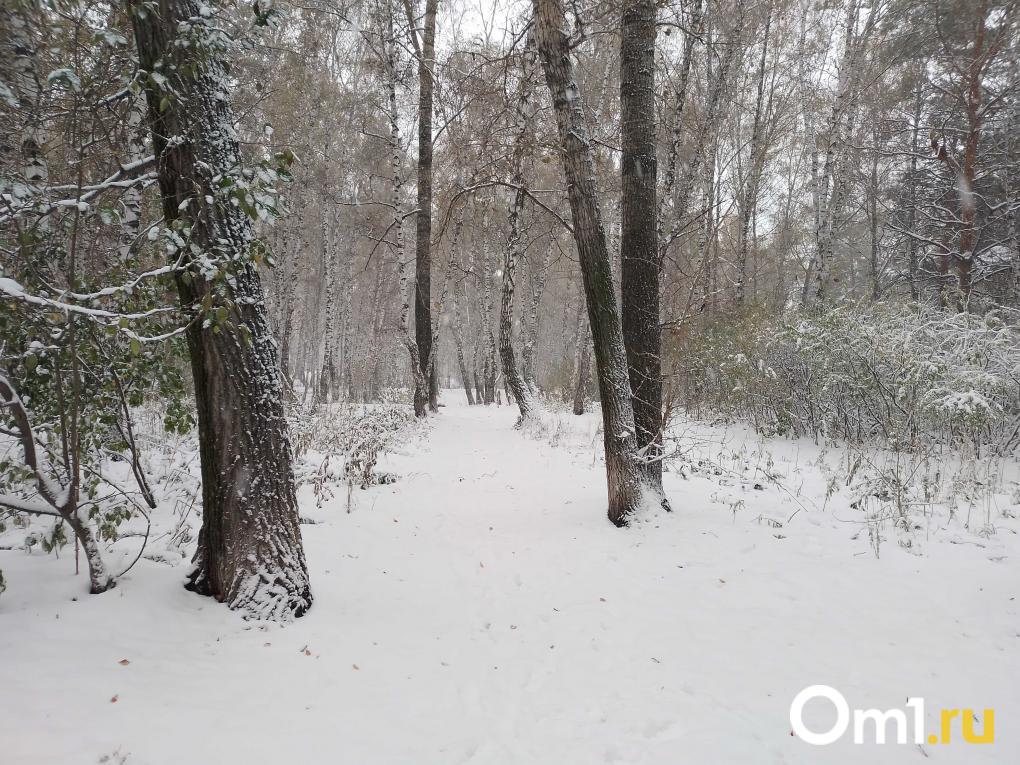В Октябрьском районе Новосибирска продолжается благоустройство