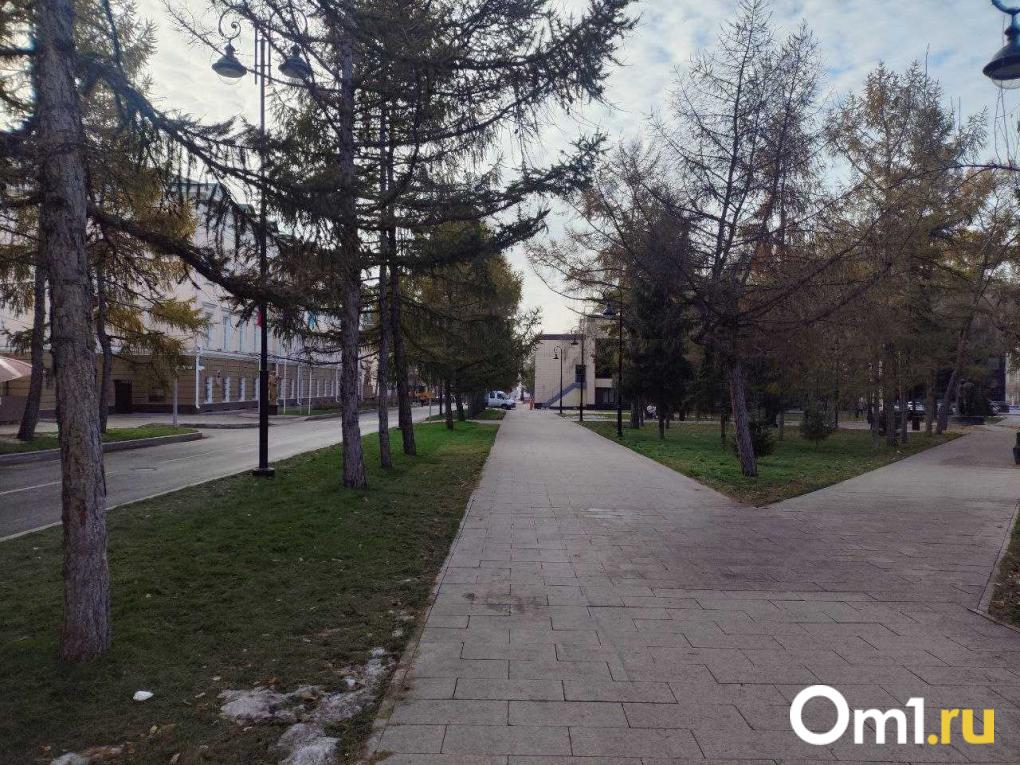 3D-пазлы и парк с бесплатным Wi-Fi: пять пространств, которые появились в Омске в этом году