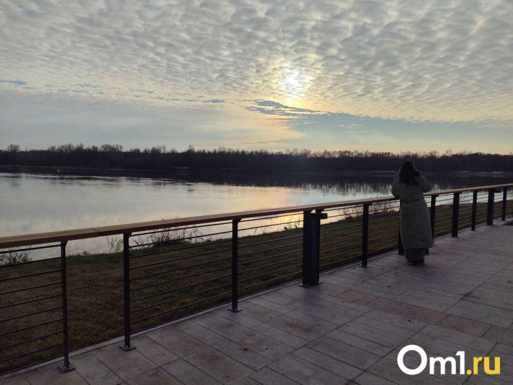 3D-пазлы и парк с бесплатным Wi-Fi: пять пространств, которые появились в Омске в этом году